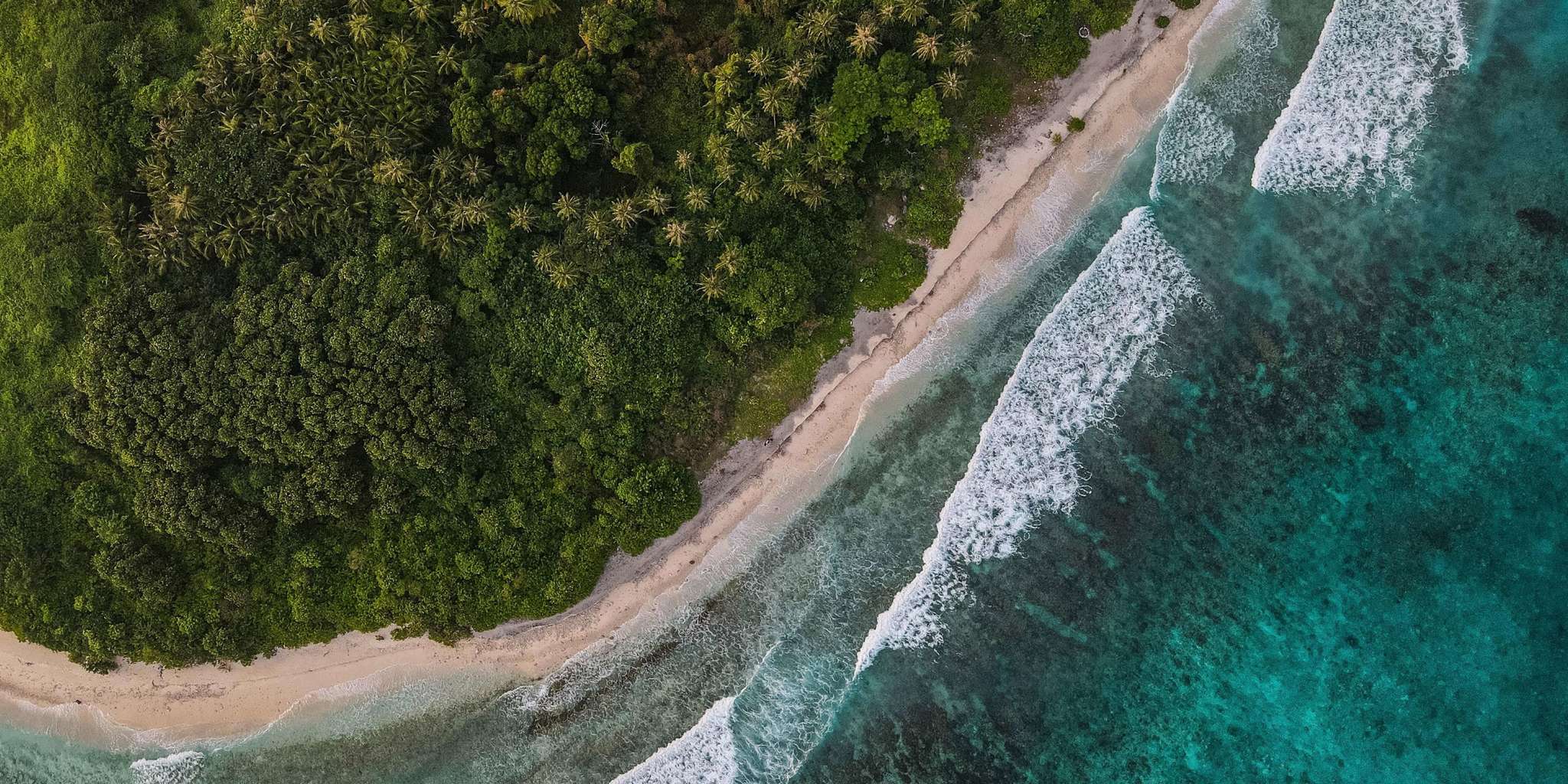 Inspired by the woods & the waves